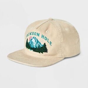 Target Beige Jackson Hole Corduroy Cap